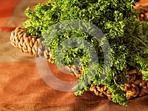 Fresh Bunch of Parsely