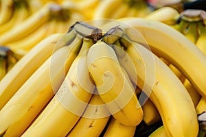 Fresh bunch of yellow bananas at market