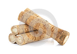 Fresh Burdock roots on white background