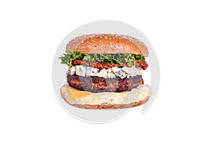 Fresh burger with chicken cutlet, dorblu cheese, sun-dried tomato, cheddar cheese, lettuce mix, dorblu sauce isolated on