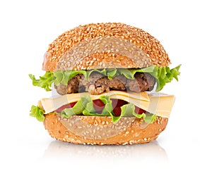 Fresh burger gamburger isolated on a white background