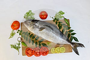 Fresh Butter Fish Amberjack Fish Allied kingfish (Seriola Dumerilli) Decorated with herbs and vegetables.