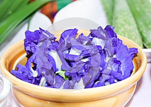 Fresh Butterfly pea flower, Clitoria ternatea