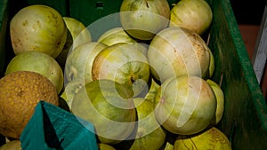Fresh butterscotch melons at a market