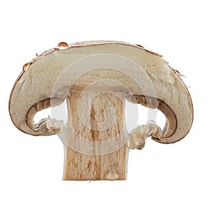 Fresh button mushrooms in a cut isolated on white. 100-percent sharpness.