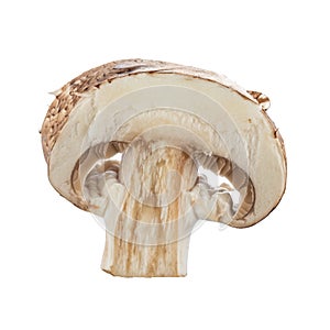 Fresh button mushrooms in a cut isolated on white. 100-percent sharpness.