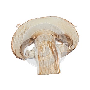 Fresh button mushrooms in a cut isolated on white. 100-percent sharpness.