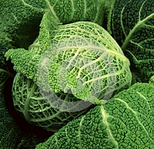 Fresh cabbage elegant fabrik closeup brokoli