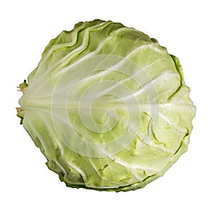 Fresh cabbage isolated