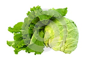 Fresh cabbage and lettuce isolated on white photo