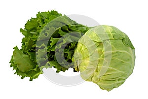 Fresh cabbage and lettuce