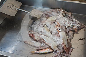 Fresh calamari in market on Greek island Kalymnos