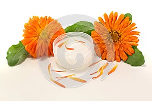 Fresh Calendula Ointment