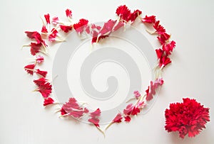 Fresh carnation petals shaped heart pattern