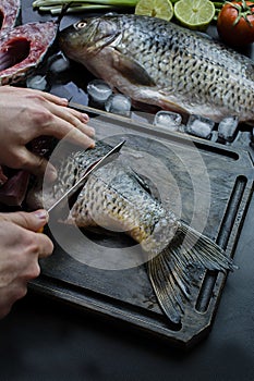 Fresh carp on a dark background with greens and vegetables. A man cuts carp into pieces on a wooden board