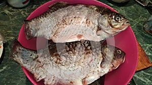 Fresh carp / Purified river fish in a bowl /