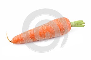 Fresh carrot