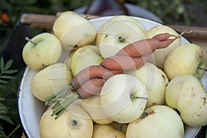 Fresh carrot and apples on the plate