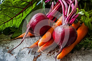 Fresh carrot and beetroot