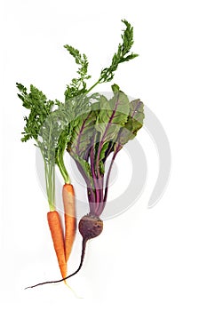 Fresh carrot and beetroot bunch
