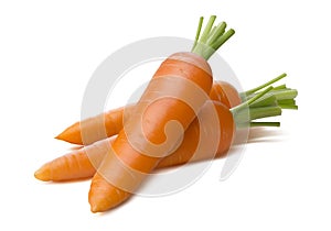 Fresh carrot pack together isolated on white background