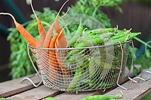 Fresh carrot and peas