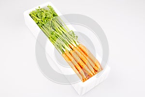 Fresh carrot in plastic white industrial box isolated on white background