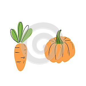 Fresh carrot and pumpkin with leaves with black line isolated on white background. Hand drawn vector flat cartoon illustration in