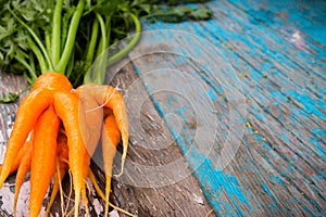 Fresh carrot wet front view of a wooden background