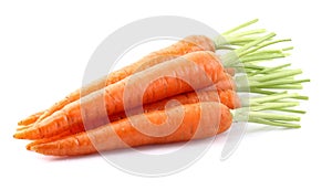 Fresh carrot photo
