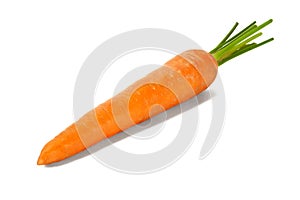 Fresh carrot