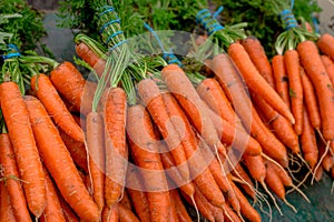 Fresh carrots