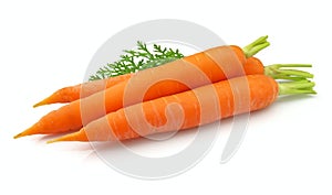 Fresh carrots