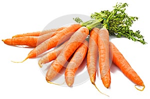 Fresh Carrots