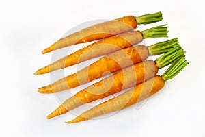 Fresh carrots photo
