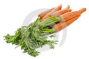 Fresh carrots