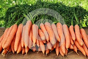 Fresh carrots