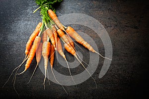 Fresh carrots