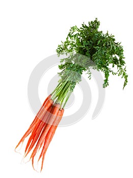 Fresh carrots