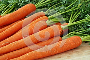 Fresh Carrots