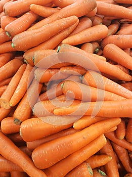 Fresh carrots