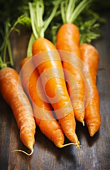 Fresh carrots bunch.