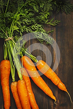 Fresh carrots bunch.