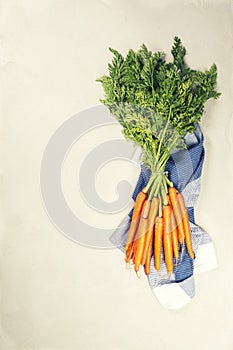 Fresh Carrots bunch. Raw fresh organic orange carrots. Healthy vegan vegetable food