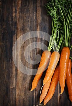 Fresh carrots bunch on wooden background.