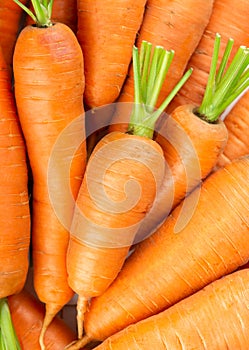Fresh carrots. Carrot background