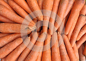 Fresh carrots croped texture background wallpapes