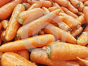 Fresh carrots display