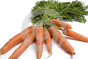 Fresh carrots from the garden