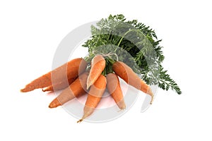 Fresh carrots with green leafy tops isolated on white